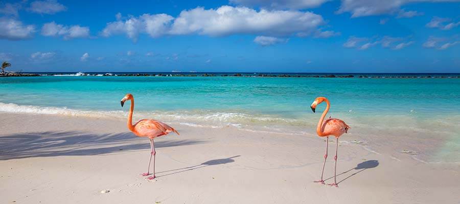 paquete turístico Aruba