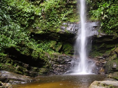 Paquete Turístico Nacional Tarapoto