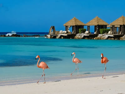 PAQUETES SEMANA SANTA 2026 Aruba